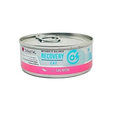  LATA DISUGUAL CAT RECOVERY DIET  SALMON 85 GR
