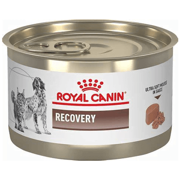 LATA  CAT ROYAL CANIN RECOVERY 145 GR