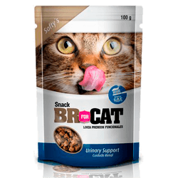 BR SNACK URINARY SUPPORT 100GR