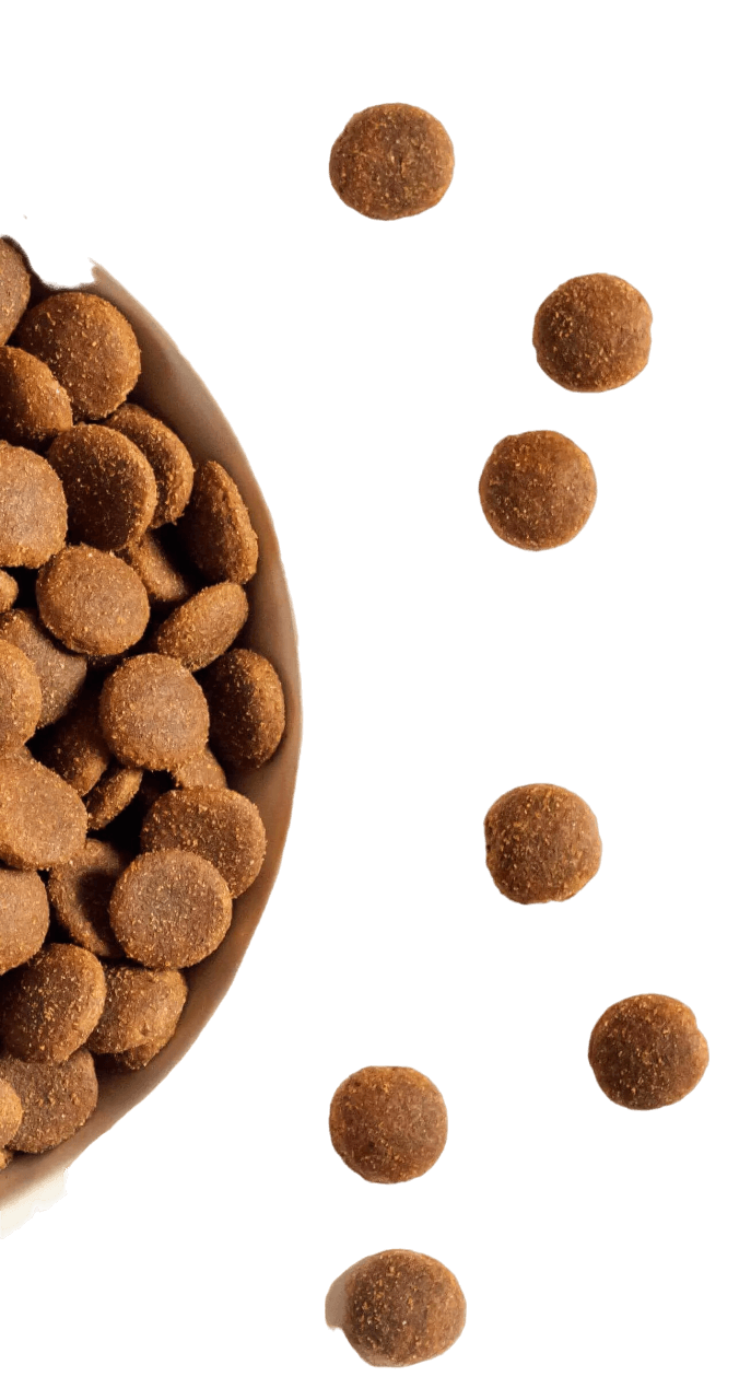 fondo de productos